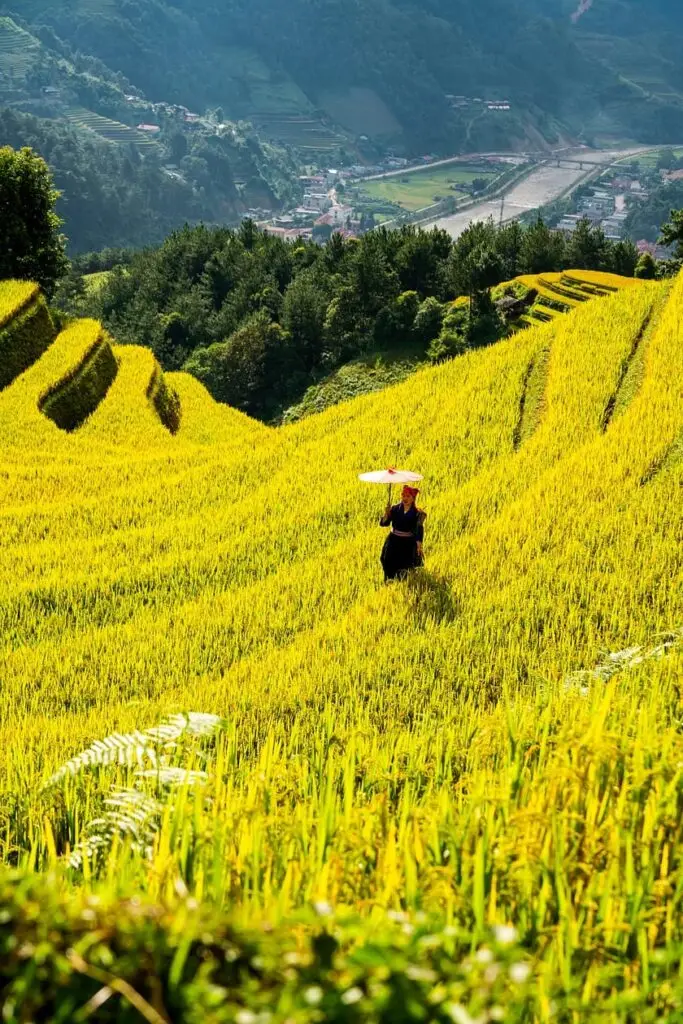 mountains, plateau, step, field, nature, people, rice, countryside, outdoors, agriculture