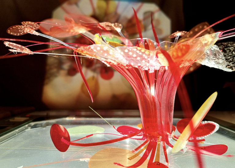 Capture d’écran 2025-12-10 à 10.13